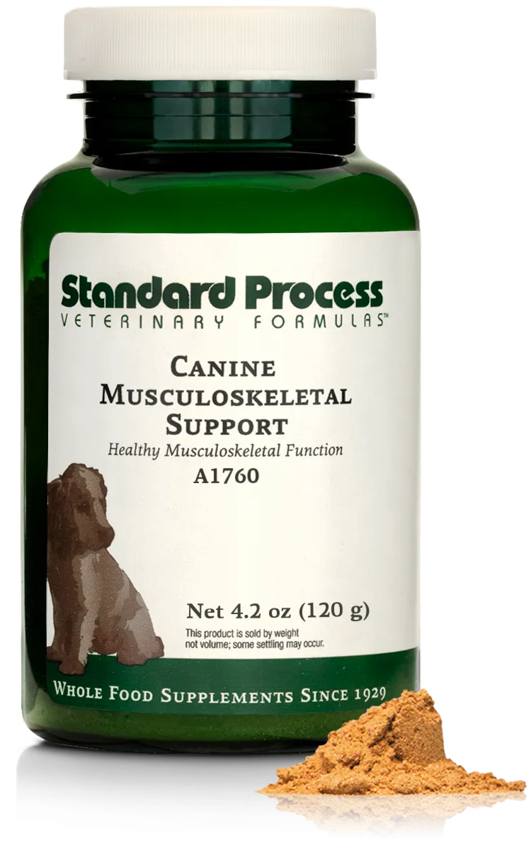 Canine Musculoskeletal Support, 4.2 oz (120 g)