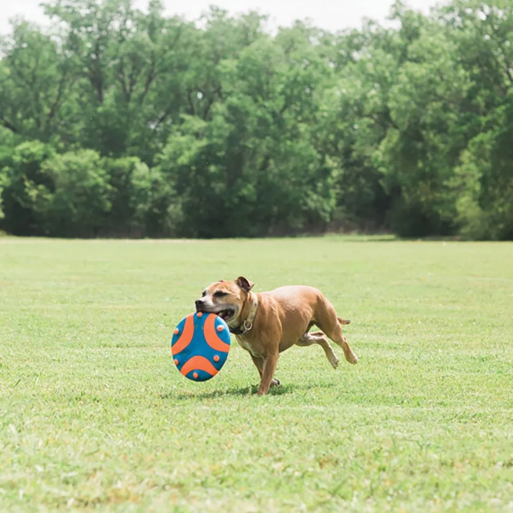 Chuckit Whistle Flight Frisbee Dog Toy