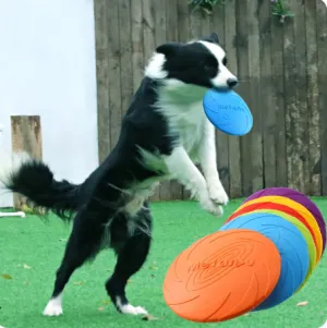 Dog Frisbee