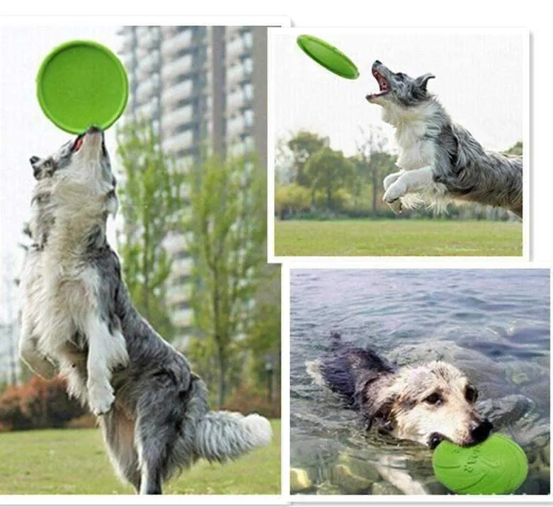 Dog-O-Soar Frisbee