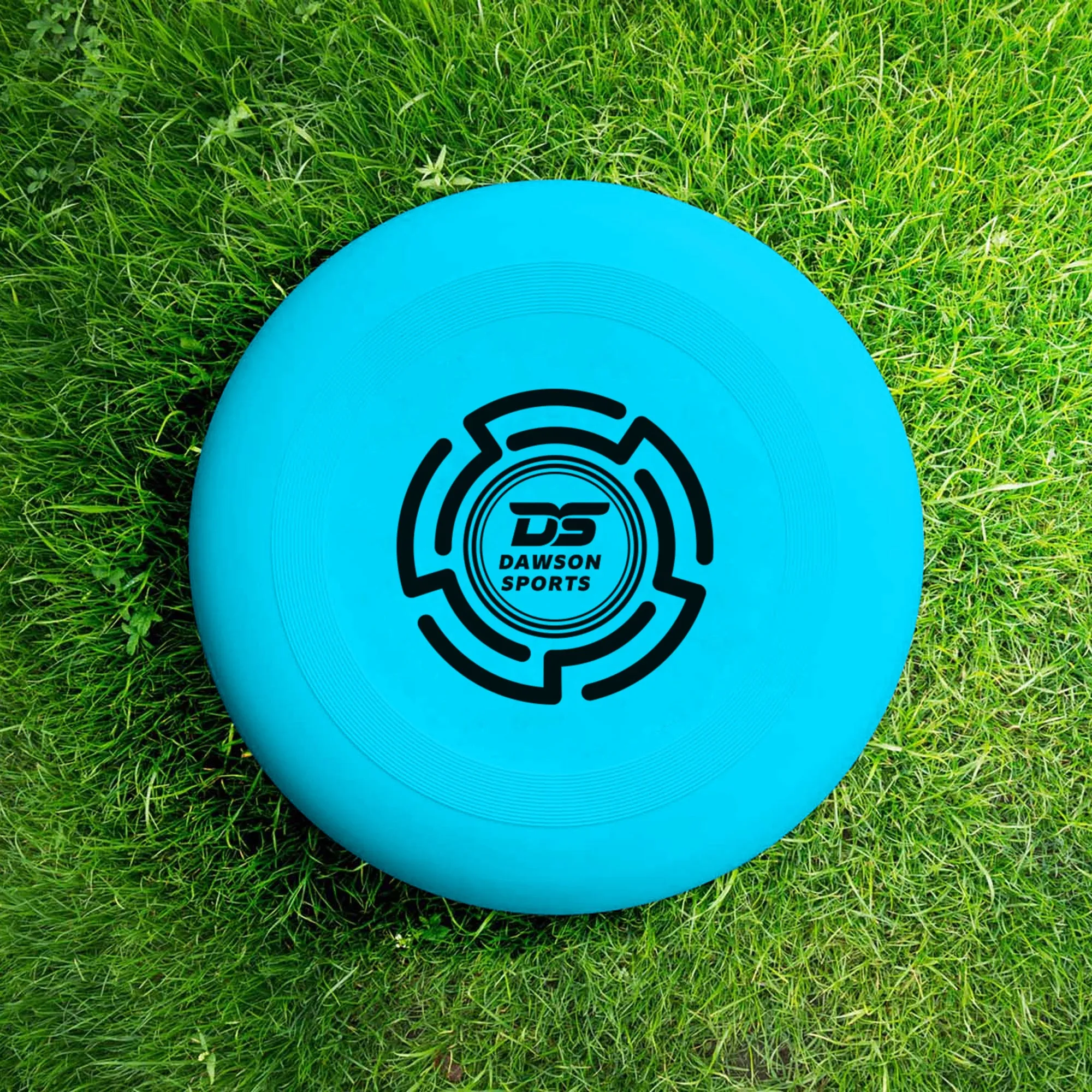 DS Frisbee - 25.4cm (4 colors available)