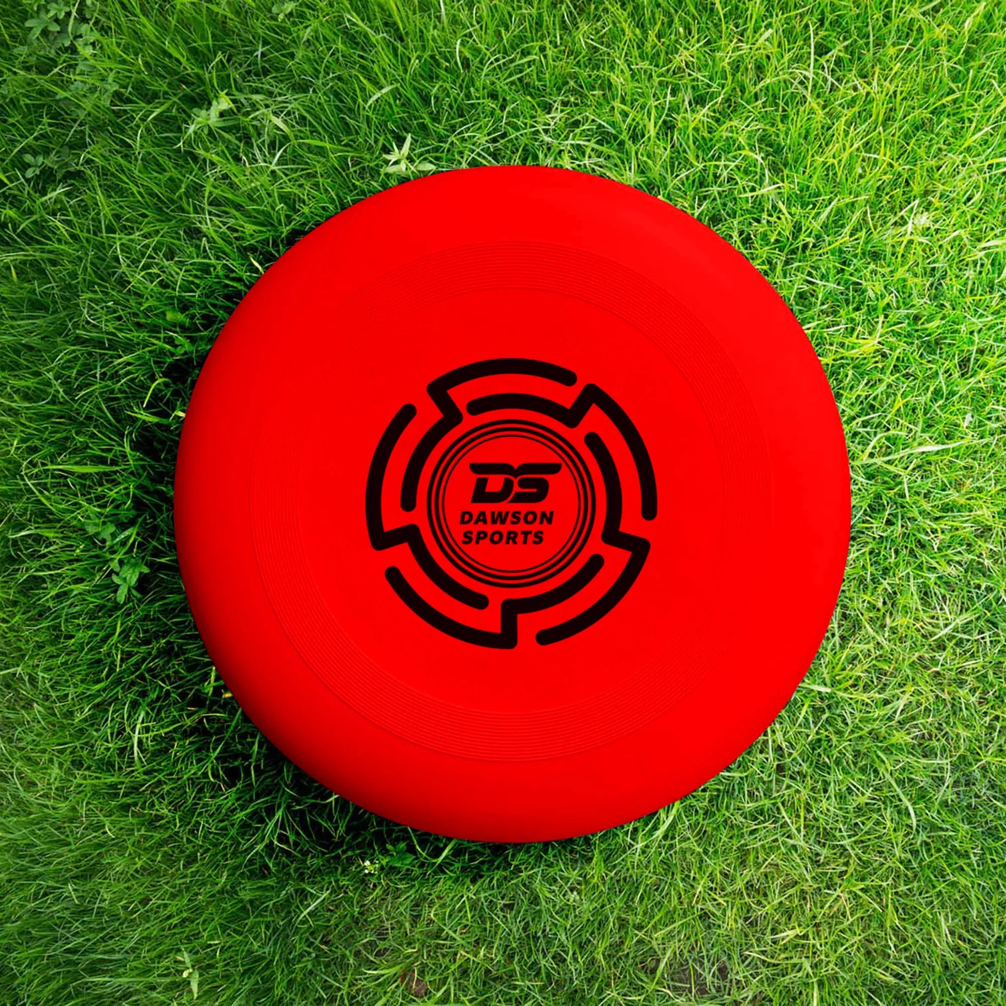 DS Frisbee - 25.4cm (4 colors available)