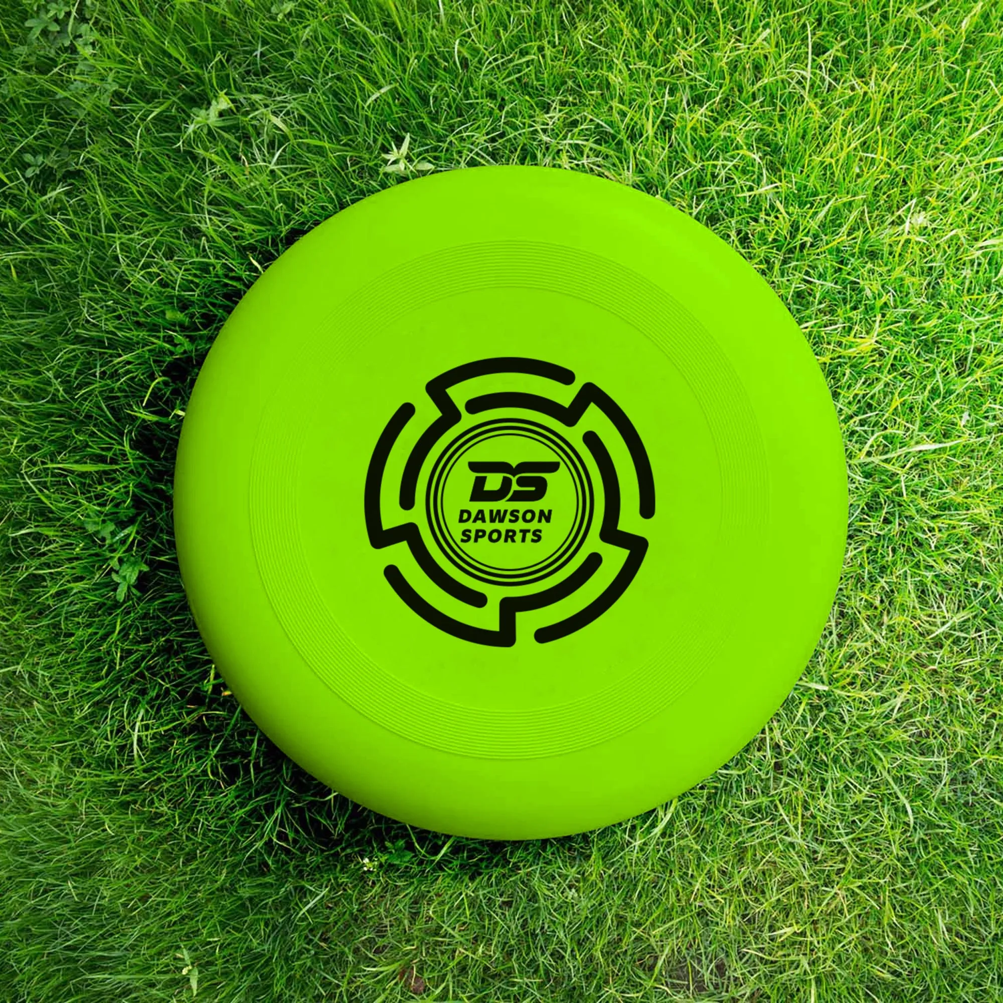 DS Frisbee - 25.4cm (4 colors available)