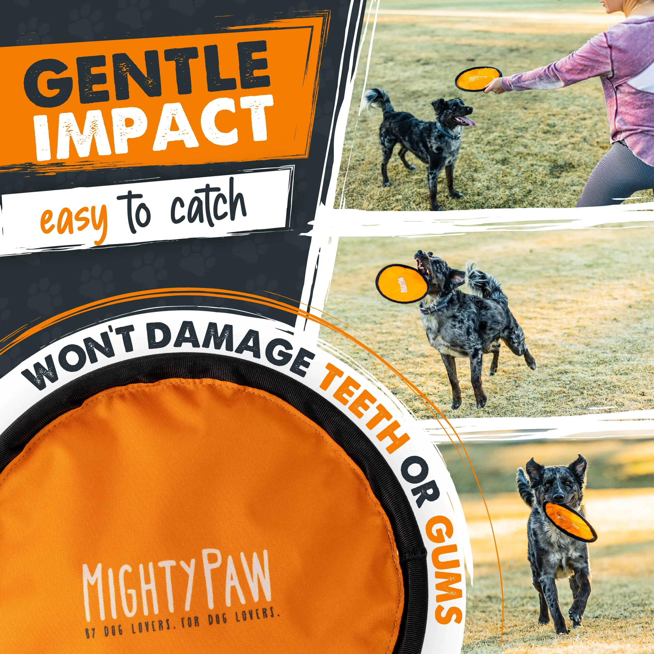 Durable Nylon Dog Frisbee (2 Pack) by Mighty Paw