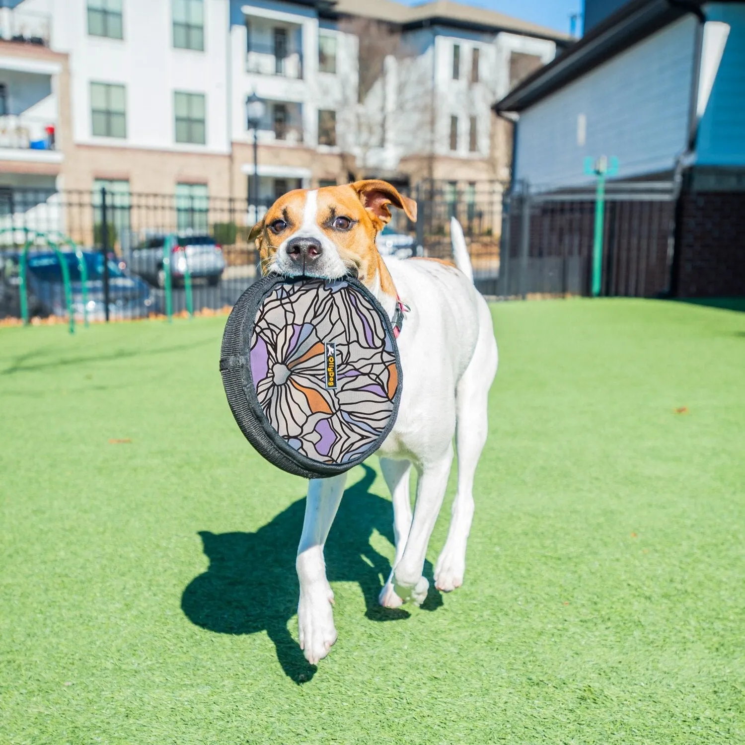 Flyer Disc | Frisbee Toy