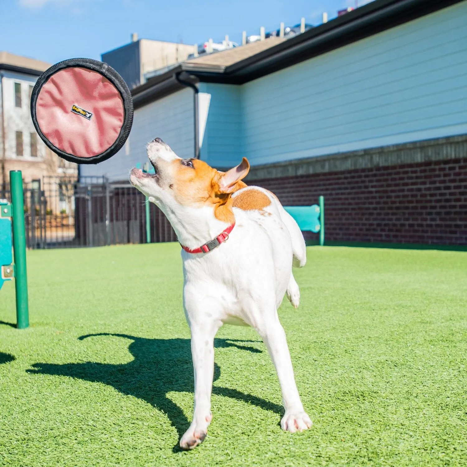 Flyer Disc | Frisbee Toy