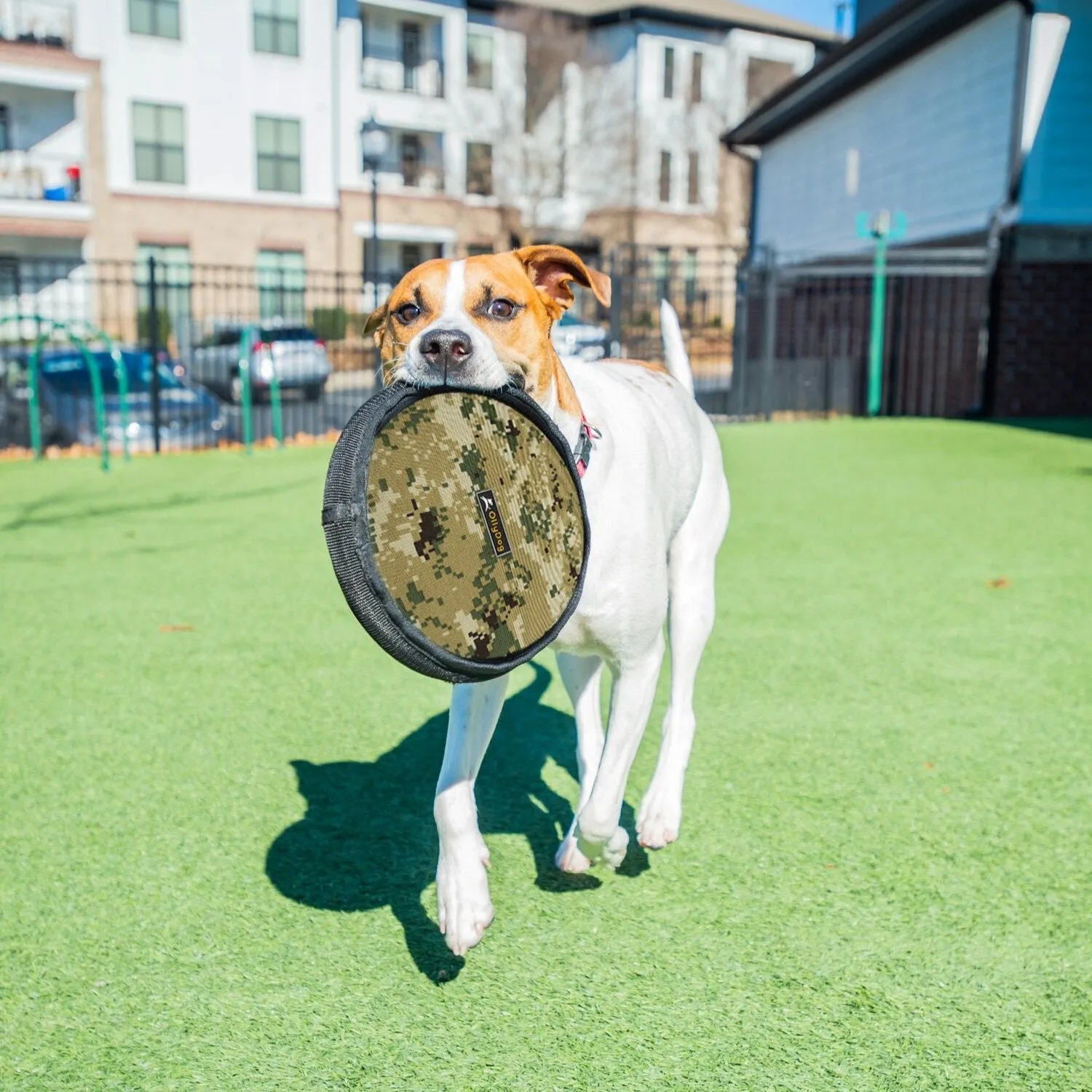 Flyer Disc | Frisbee Toy