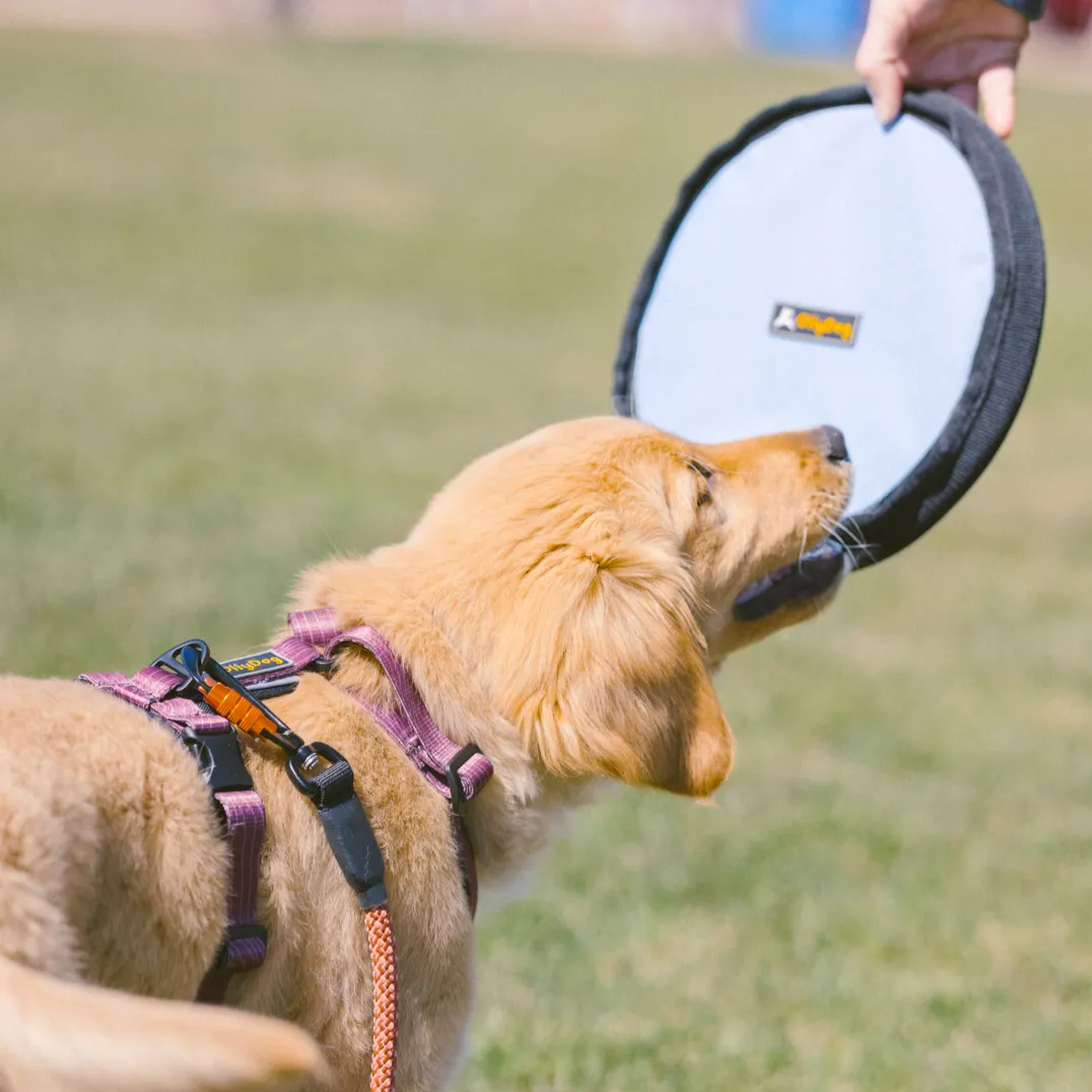 Flyer Disc | Frisbee Toy