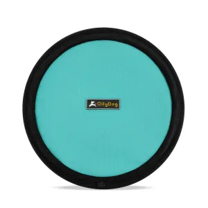 Flyer Disc | Frisbee Toy