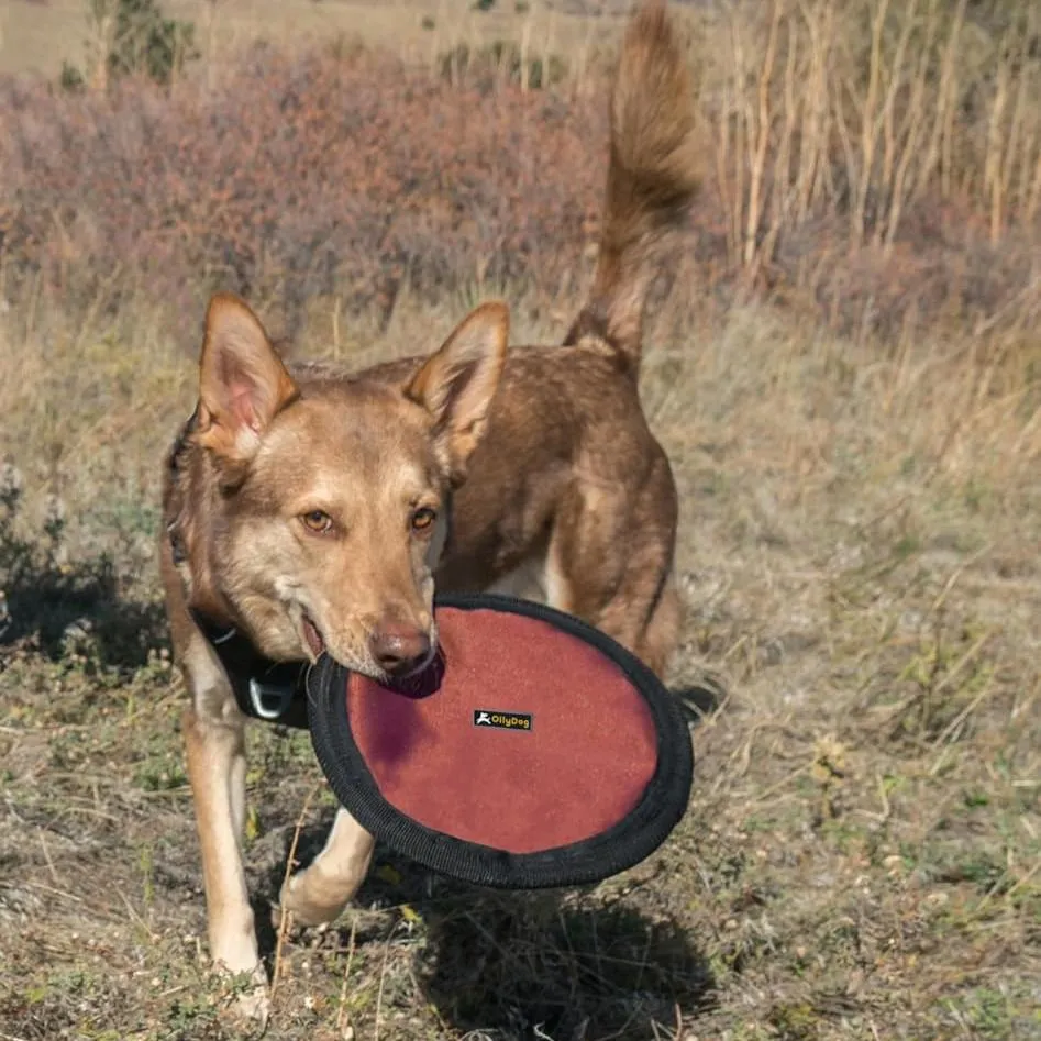 Flyer Disc | Frisbee Toy