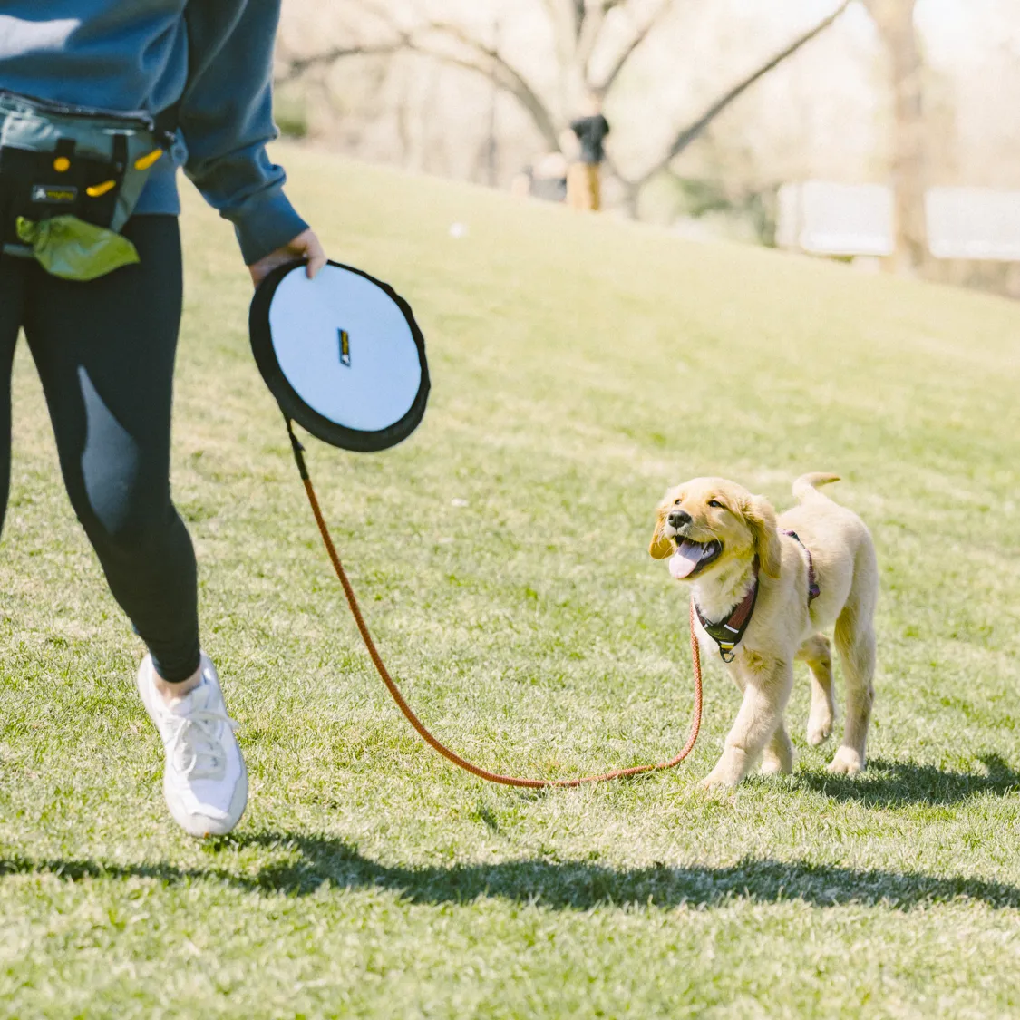 Flyer Disc | Frisbee Toy