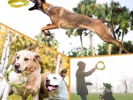 Natural Rubber Banana Ring Treat Release Toy