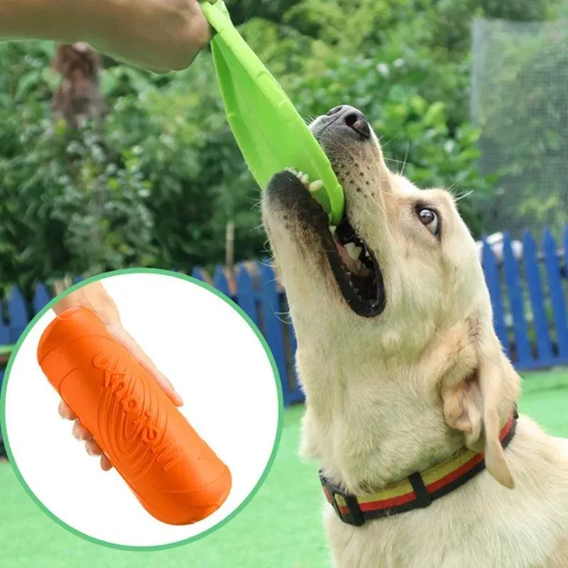 Pet Frisbee - Interactive Dog Toy