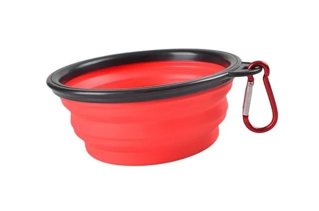 Portable & Collapsible Bowl