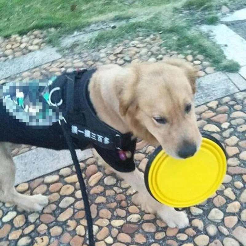 Portable & Collapsible Bowl