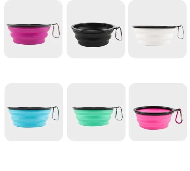 Portable & Collapsible Bowl