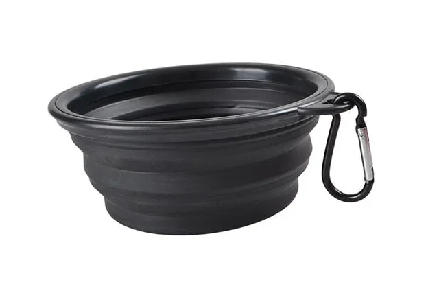 Portable & Collapsible Bowl