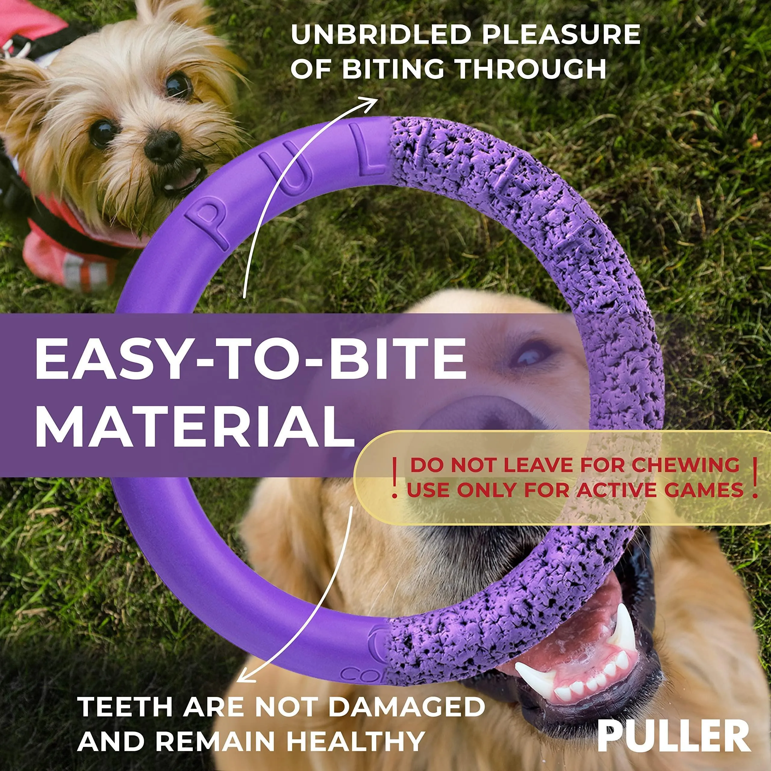 Puller Outdoor Dog Ring Toys Dog Fetch Toy Mini 2 Rings for Small Dogs Purple