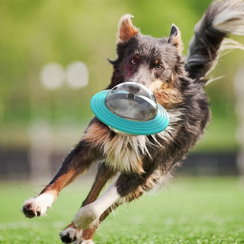 Smart Dog IQ UFO Slow Feeder