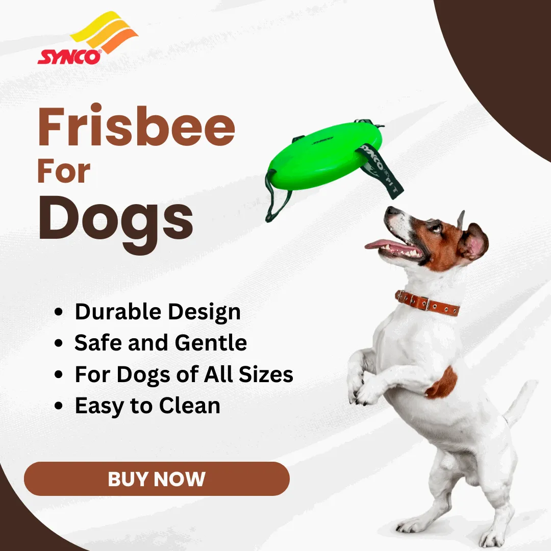 Synco Dog Frisbee with Holding Loops | Dog Toy Frisbee