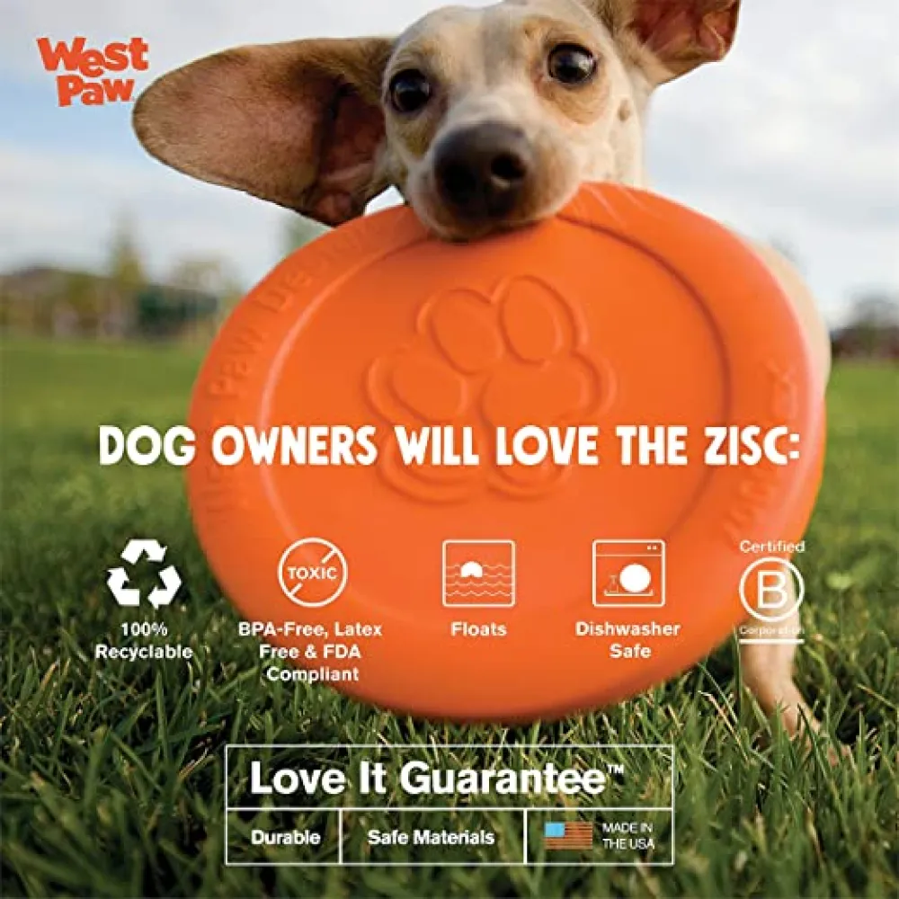 West Paw Design Zisc for Dogs (Green)