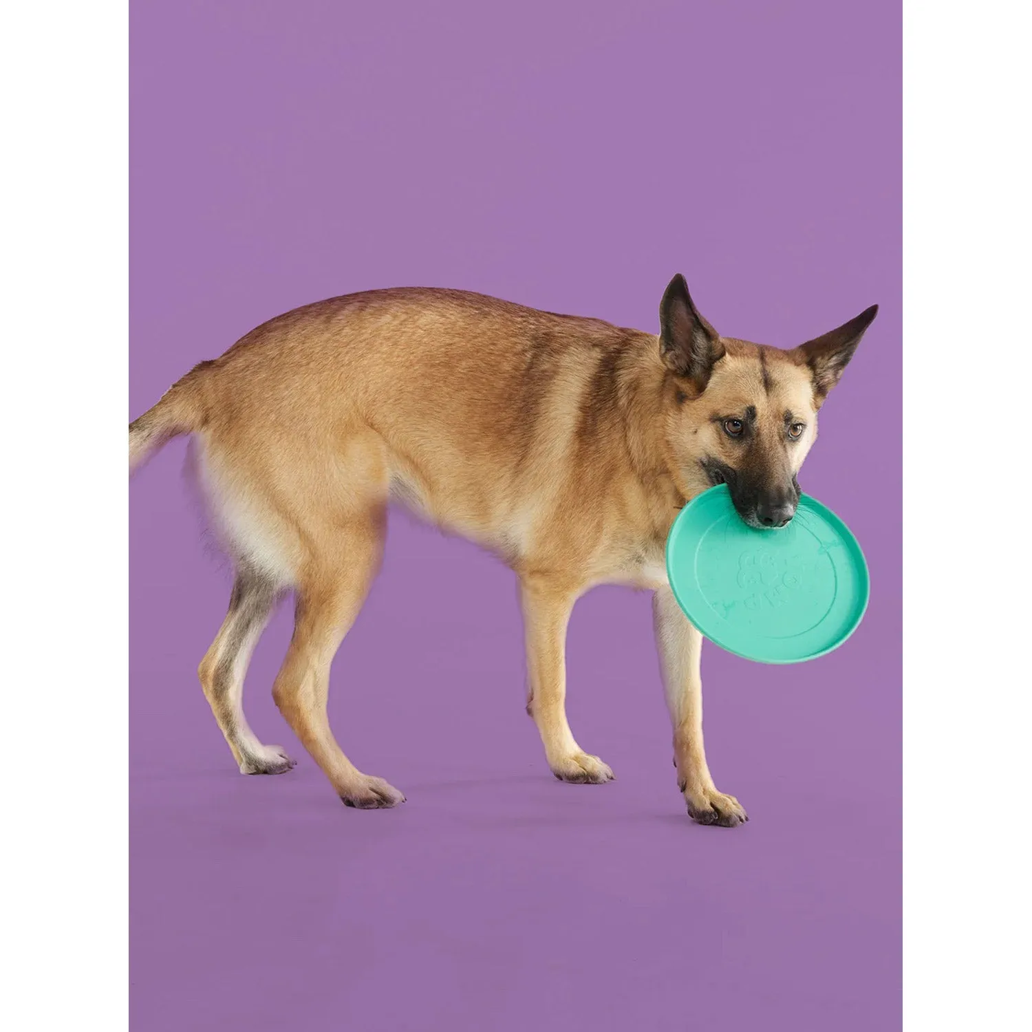 Yomp FetchFlyer - Dog Frisbee Toy