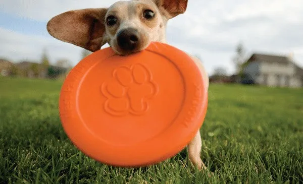 Zisc Dog Frisbee