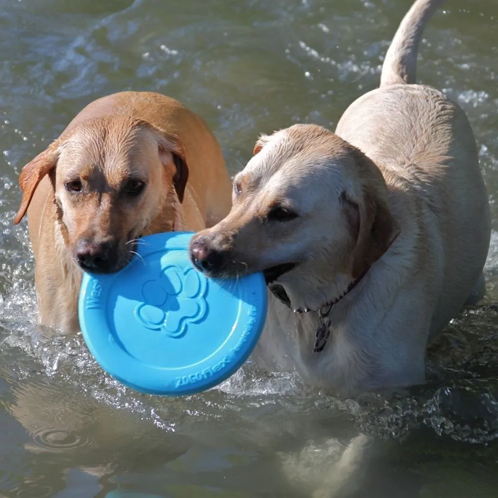 Zisc Dog Frisbee